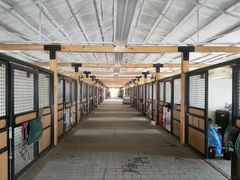 -北京群众马术培训基地