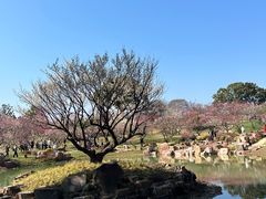 -无锡梅园公园