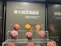 -洛阳龙门海洋馆
