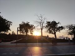 -万绿园