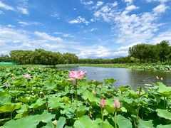 -东郊湿地公园