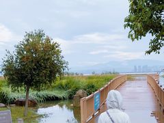 -洱海月湿地公园
