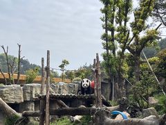 -宁波野生动物园