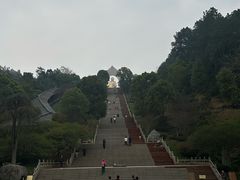 -庐山风景名胜区-东林大佛