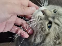 -天使咖啡(兴新街店)