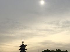 -嘉定紫藤园
