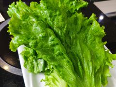 -蒙星月涮肚火锅城(宏运家园店)