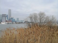-上海山野camping·户外天幕烧烤·团建拓展营地