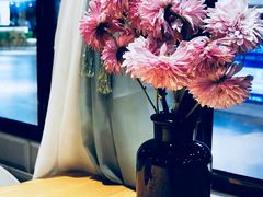 -沪花拾者(好再来花卉鲜花店)