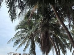 -三亚西岛海洋文化旅游区