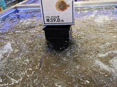 -盒马X会员店(上海森兰商都店)
