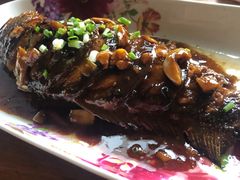 -壹生壹世·农家烤鱼