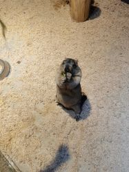 -酷嗒动物文化乐园(cutezoo西溪乐天城店)