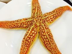 -海岛渔村大酒店(云霄路店)