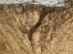 -碓臼峪自然风景区