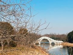 -上海海湾国家森林公园