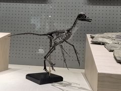 -辽宁古生物博物馆