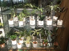 大堂-无印良品餐堂 MUJI Diner(成都太古里店)