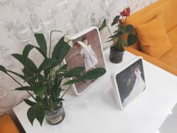 -Cocodemer女性健康·产后恢复(天一广场店)