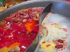 -阳阳老火锅(小南门店)