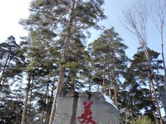 -美人松苑