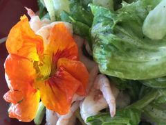 -Steveston Pizza Company (Richmond)