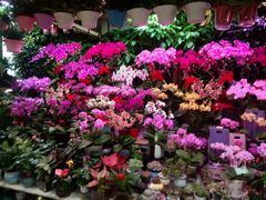 -三旗百汇商品城