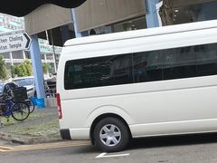 -正正文志记猪什汤