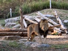 -北京野生动物园