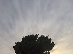 -青岛第一海水浴场