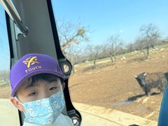 -秦岭欢乐世界