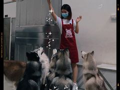 -星多哈·狗咖·拼豆·咖啡