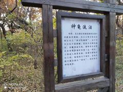 -北陵公园