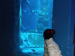 -大连圣亚海洋世界