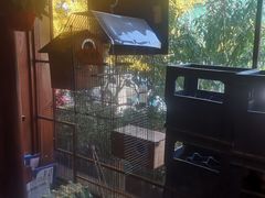 大堂-玉桥餐厅(天坛店)