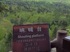 -汤旺河林海奇石景区