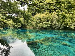 -九寨沟-树正沟