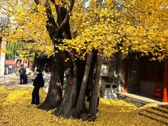 -承恩寺