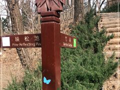 -大连植物园