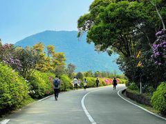 -梧桐山风景名胜区