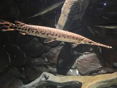 -多彩贵州城极地海洋世界