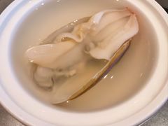 海蚌汤-兴仙饭店·闽味海鲜(马尾总店)