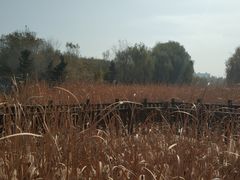 -成吉思汗公园