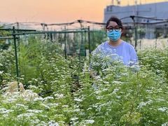 -重庆市江北嘴中央商务区中央公园