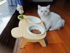-lincat·猫舍(广州店)