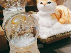 -酷乐潮玩(长楹龙湖天街店)
