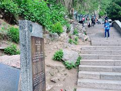 -泰山风景名胜区