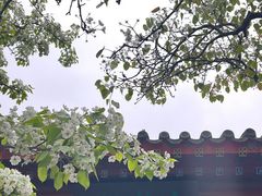 -宣武艺园