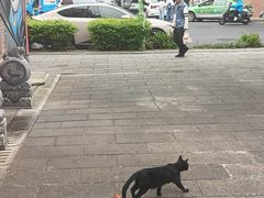 -深圳野生动物园