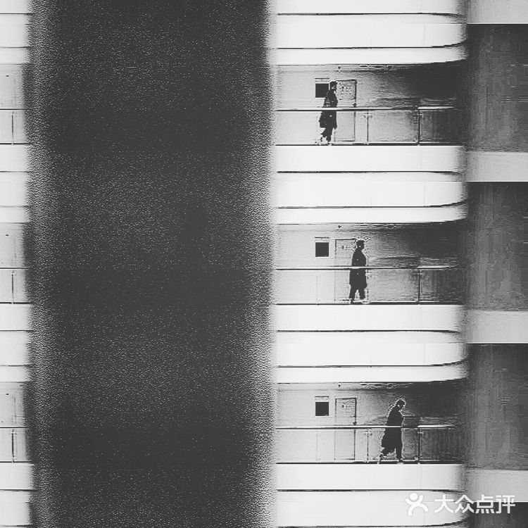 成都拍照| IFS的大熊猫屁屁你还没拍腻嘛?